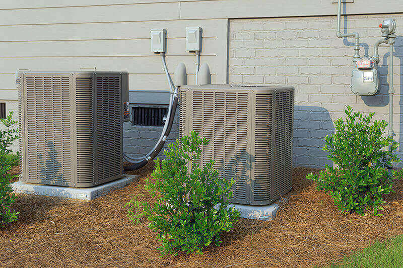 Could Insects Be Coming From The HVAC System?