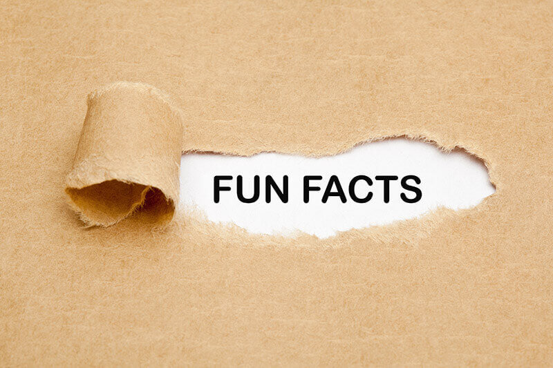 Fun facts text on cardboard background